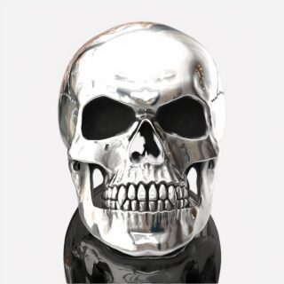 Photo d'un crâne entier en bague pour homme argentée et brillante sur fond noir