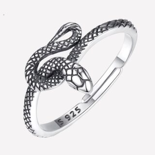 Bague serpent entremêlé en argent sur fond blanc