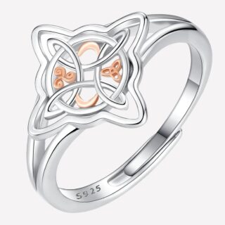 Bague argentée sur fond blanc.